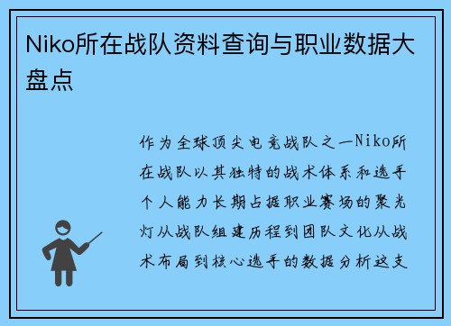 Niko所在战队资料查询与职业数据大盘点